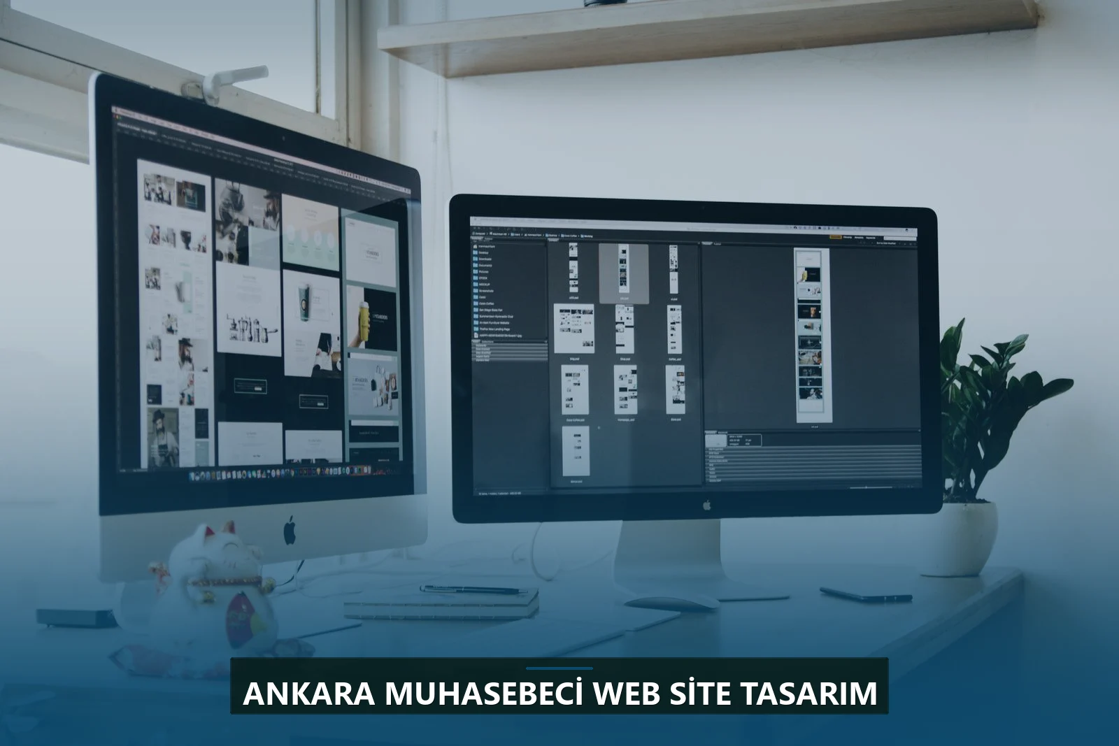 Ankara Muhasebeci Web Site Tasarım