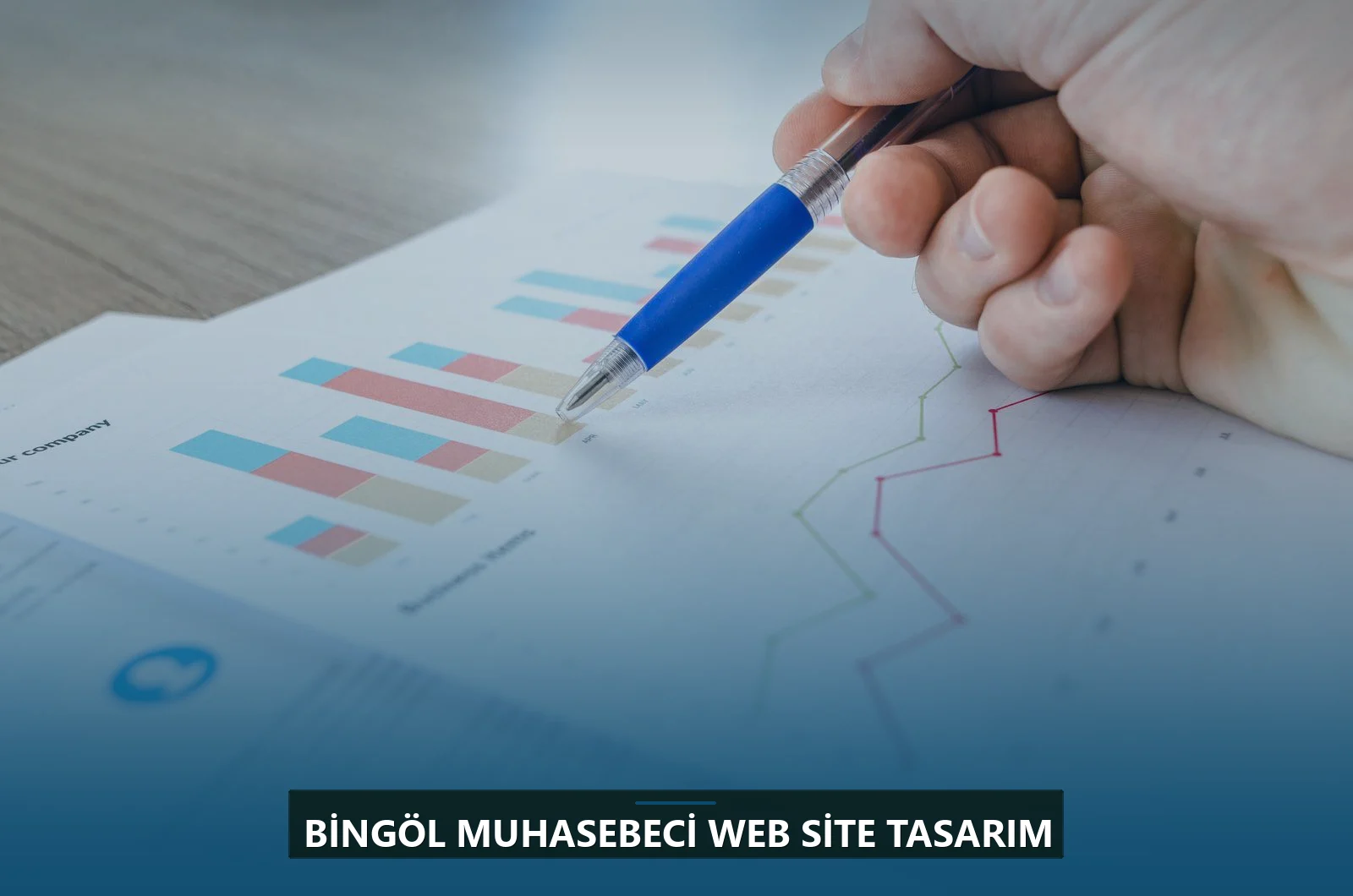 Bingöl Muhasebeci Web Site Tasarım