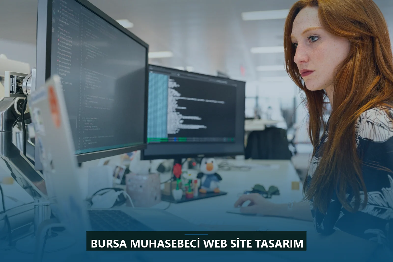 Bursa Muhasebeci Web Site Tasarım