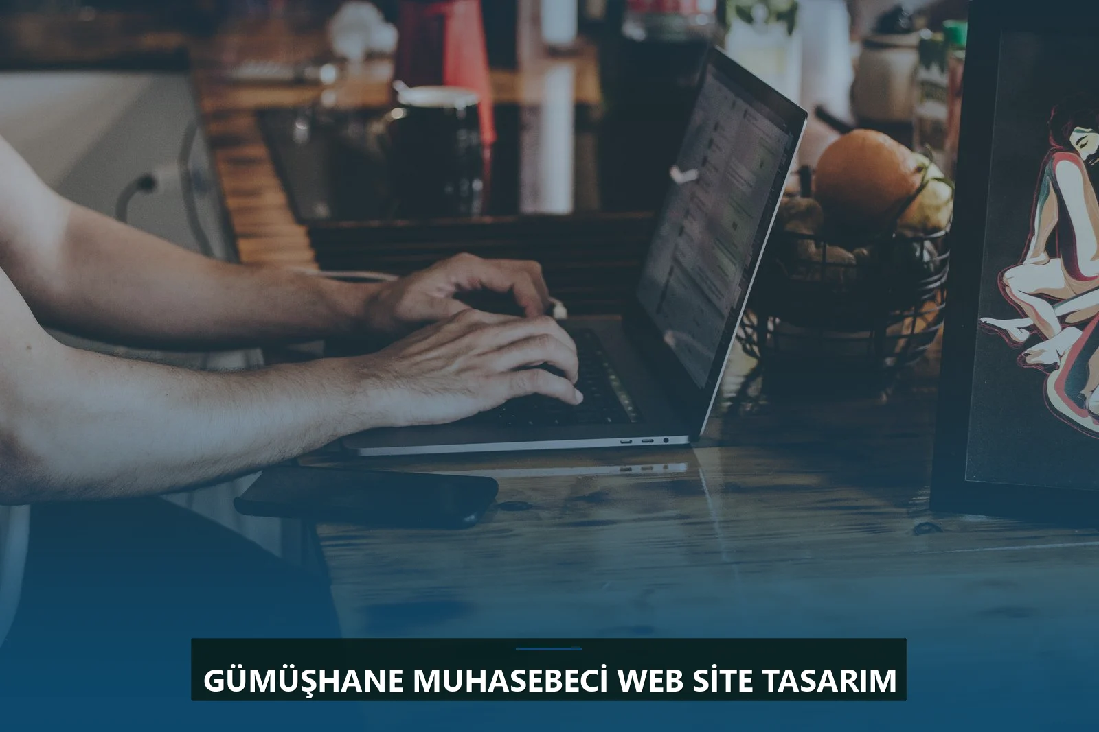 Gümüşhane Muhasebeci Web Site Tasarım