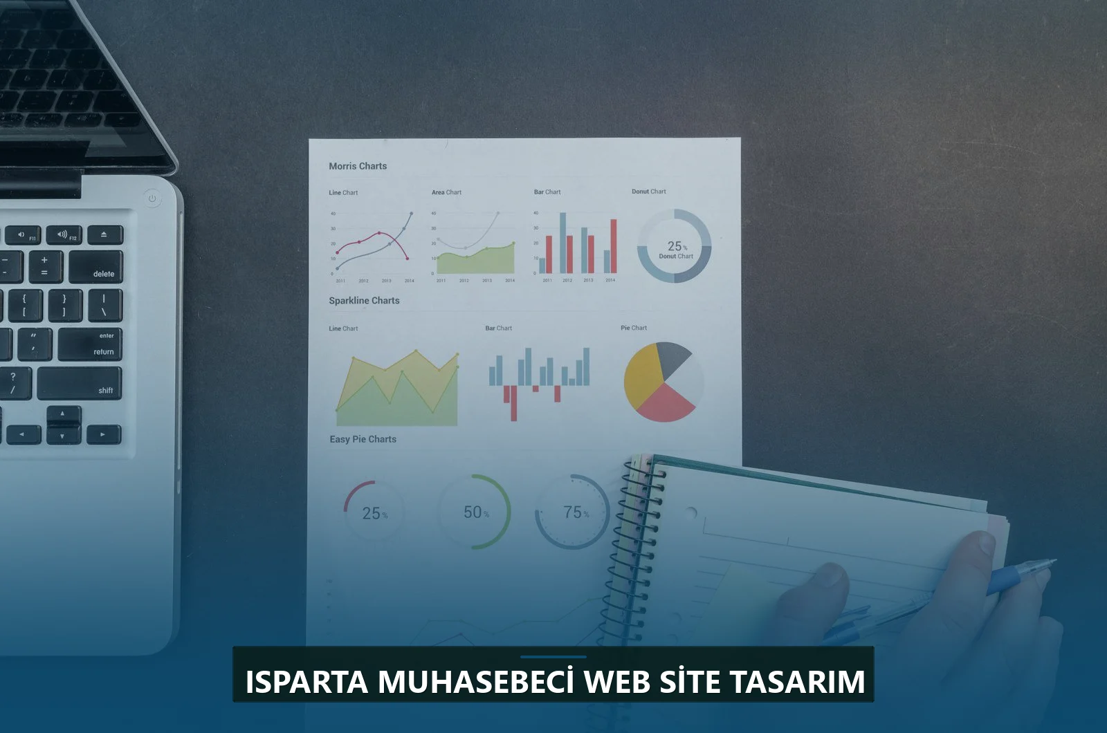 Isparta Muhasebeci Web Site Tasarım