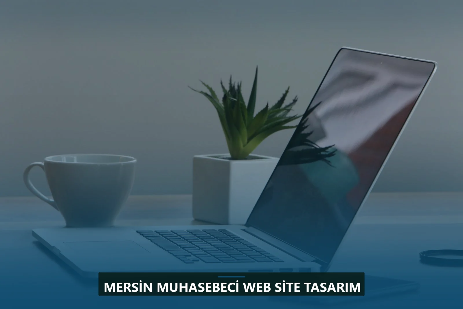 Mersin Muhasebeci Web Site Tasarım