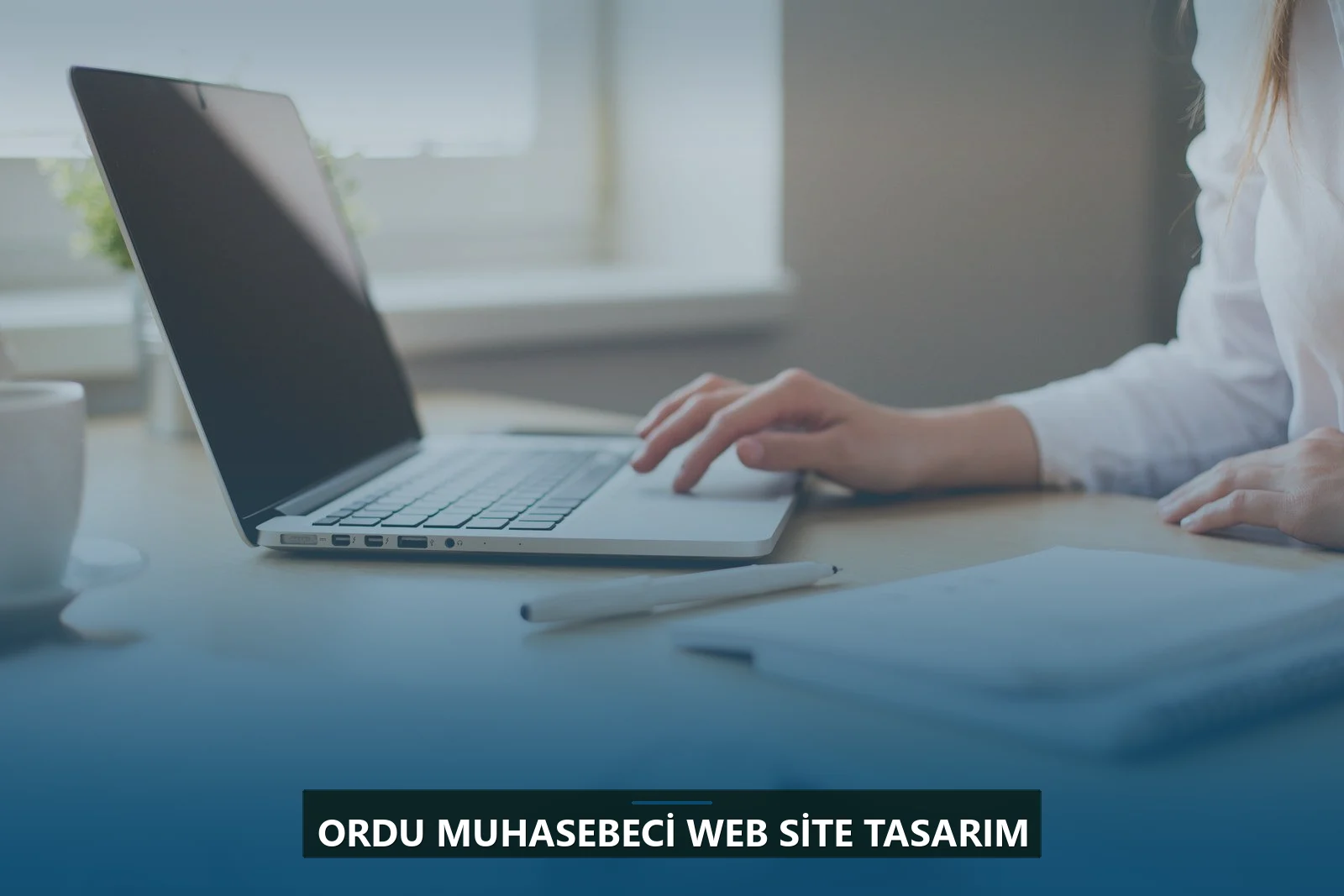 Ordu Muhasebeci Web Site Tasarım