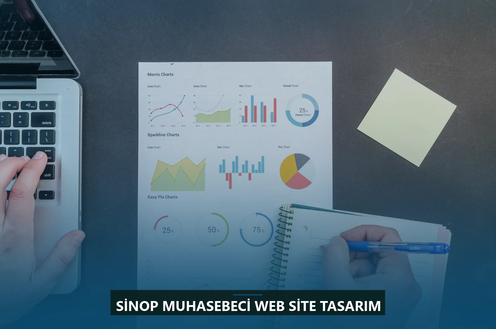 Sinop Muhasebeci Web Site Tasarım