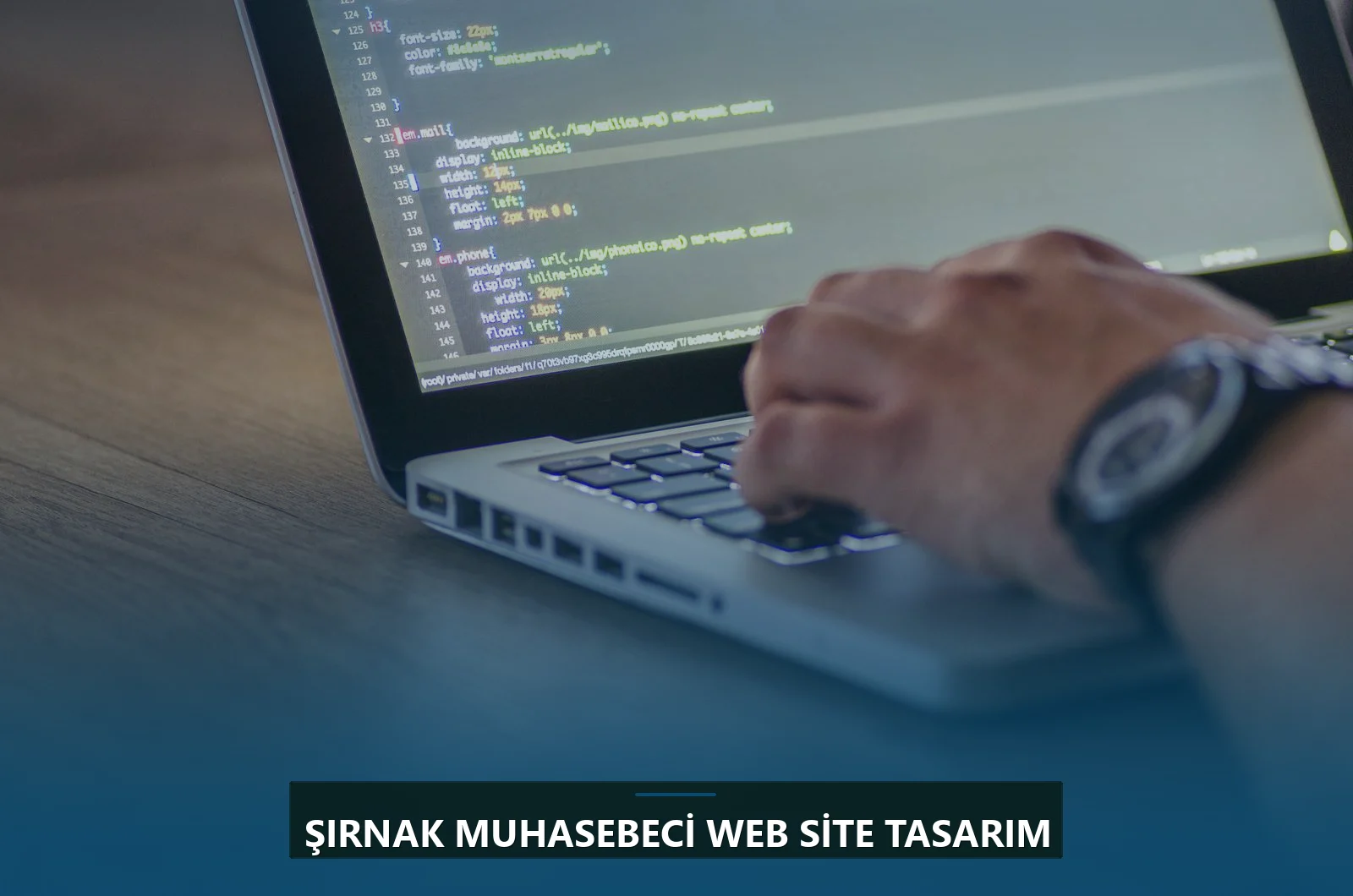 Şırnak Muhasebeci Web Site Tasarım