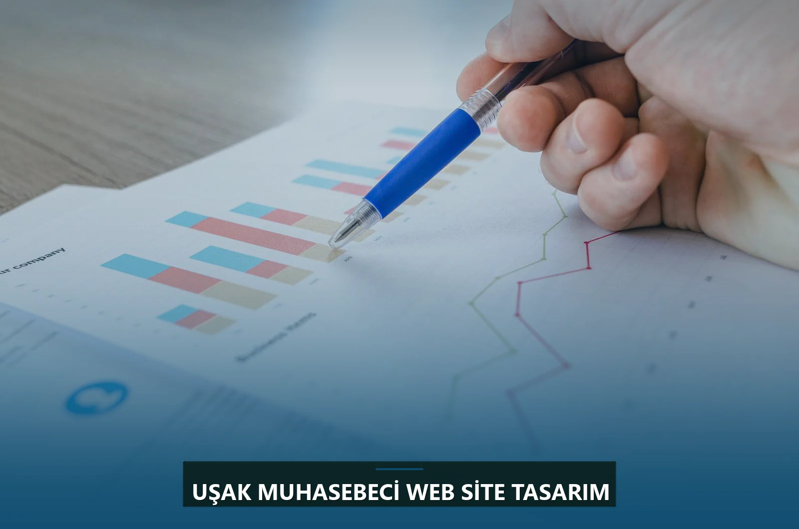 Uşak Muhasebeci Web Site Tasarım